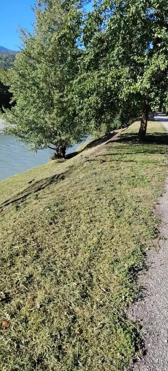 Bande d'herbe tondue en pente le long d'un chemin