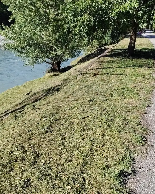 Bande d'herbe tondue en pente le long d'un chemin, au bord de l'eau