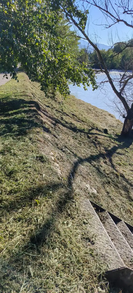 Berge en herbe tondue sous les arbres, au bord de la rivière