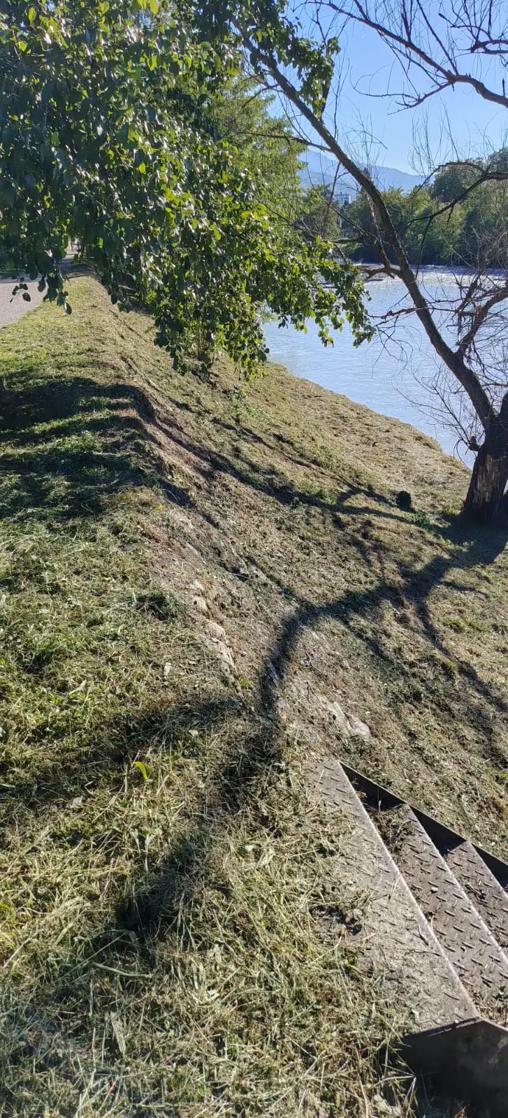 Berge en herbe tondue sous les arbres, au bord de la rivière