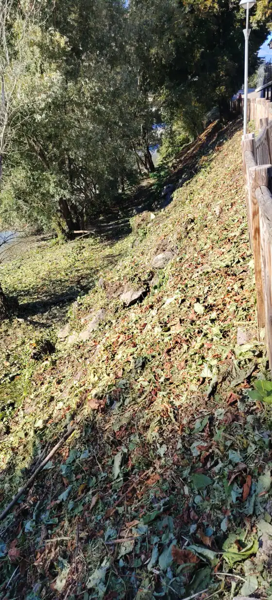 Talus débroussaillé le long d'une barrière en bois, végétation coupée au sol